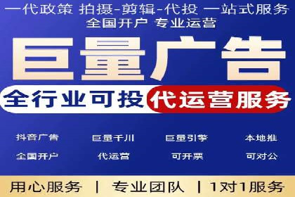 XX行业竞价广告的投放策略与效果分析